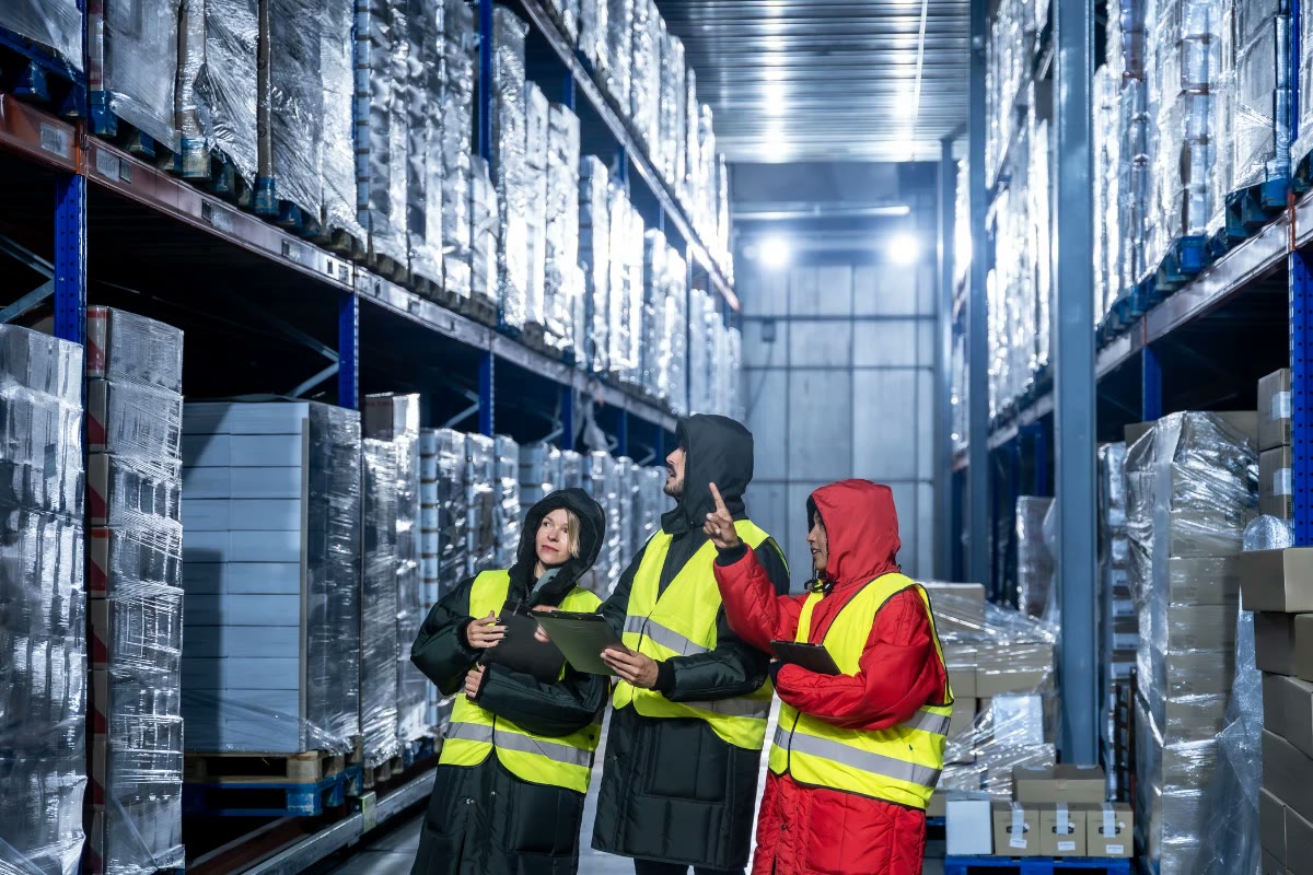 Team checking wrapped pallets in a temperature-controlled warehouse